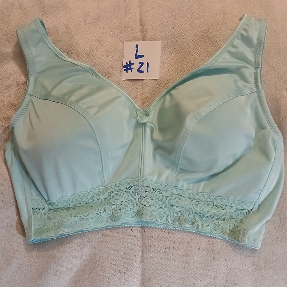 Rhonda Shear Other - NWOT Rhonda Shear Aqua Lace Trim Bra